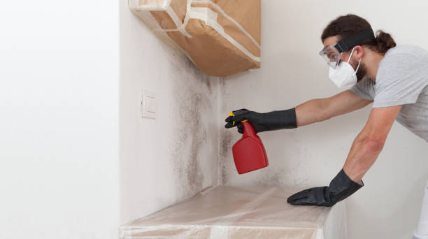 Professional Mold Remediation technician working in Centerport, NY